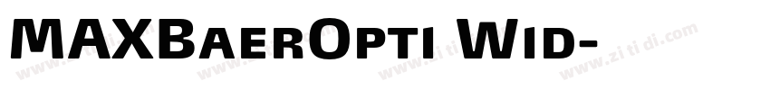 MAXBaerOpti Wid字体转换
